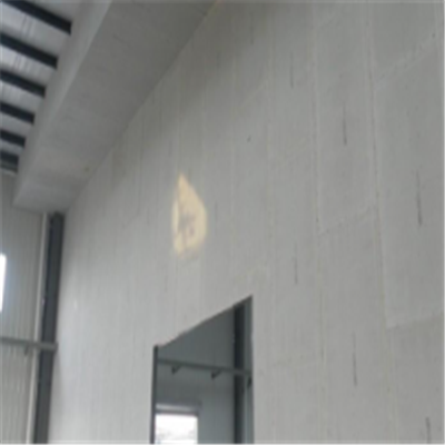 北道宁波ALC板|EPS加气板隔墙与混凝土整浇联接的实验研讨